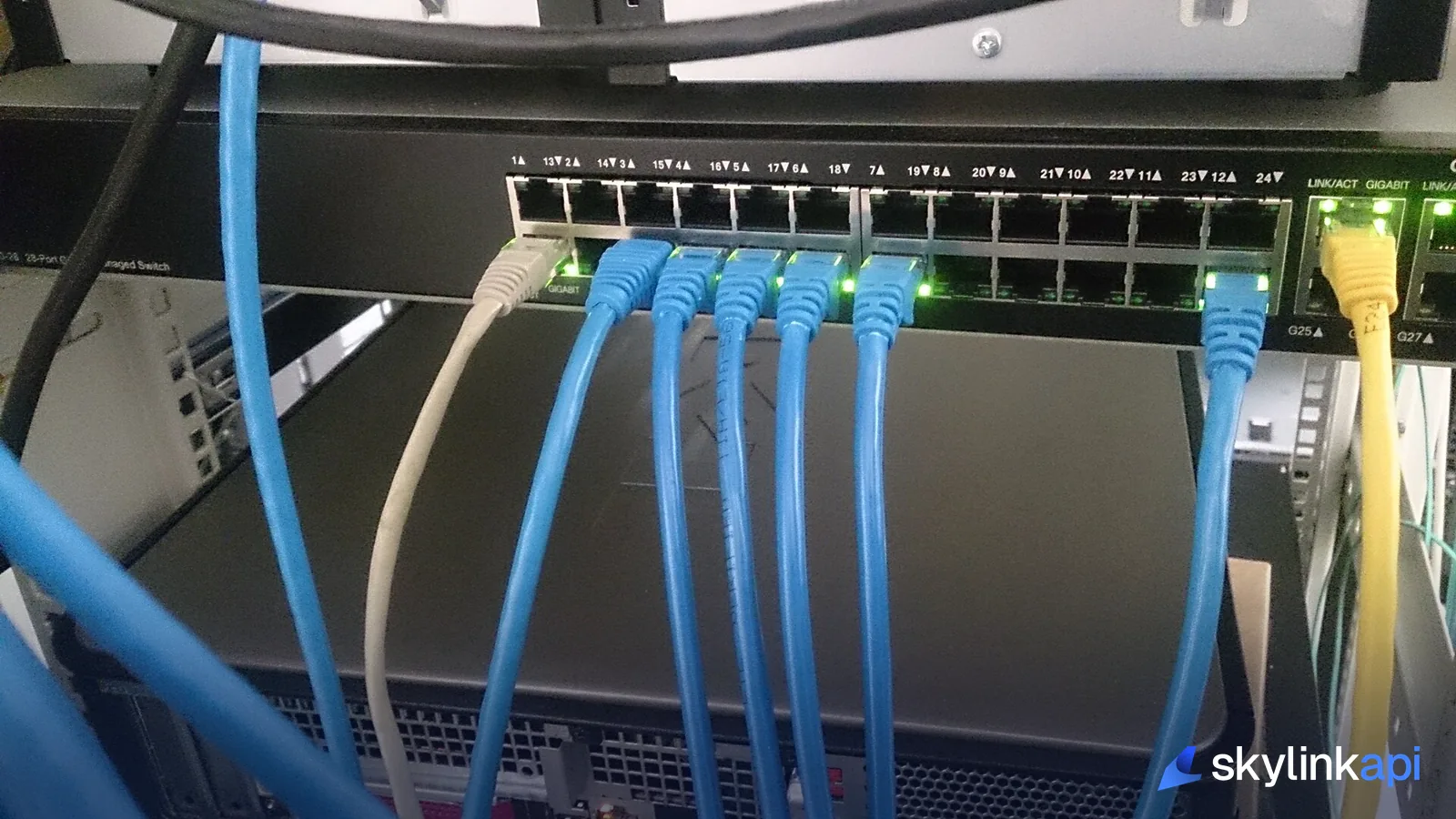 Ethernet cables plugged into a network switch, evoking connected apps and integrations